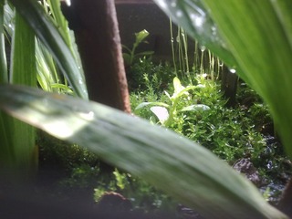201302225240