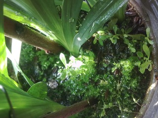 201302225242