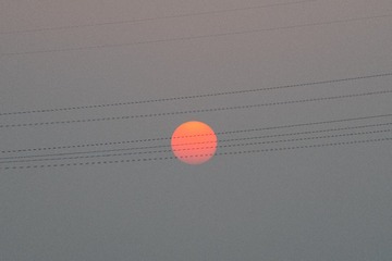 _DSC6431