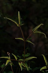 _DSC6419