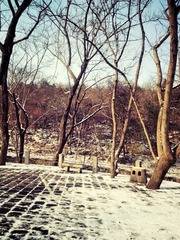 IMG_3089_Fotor
