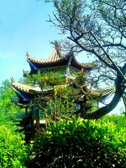 新建文件夹 (7)IMG_20160517_154700-01