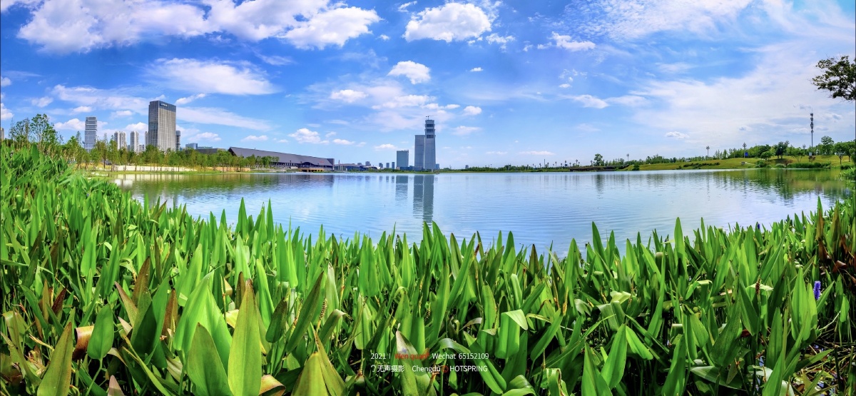 美如画的天府公园