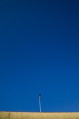 采访