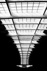 _DSC7254