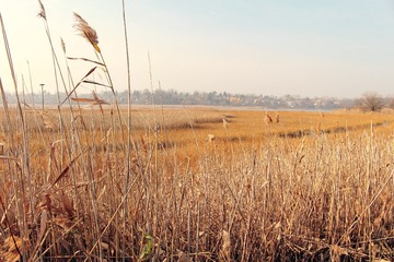 IMG_0076~2
