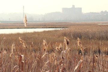 IMG_0078~2