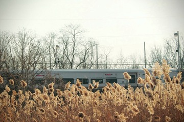 IMG_0089~2