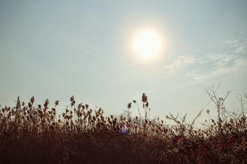 IMG_0083~2