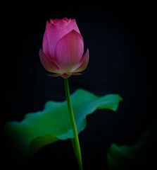 20220706-DSCF0080