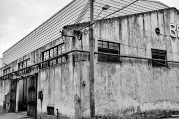 DSC_9605-01