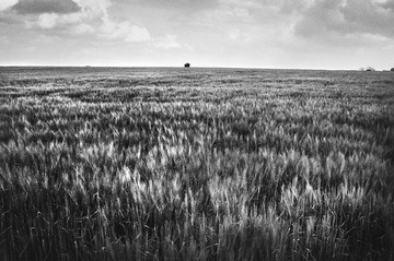 _DSC0260