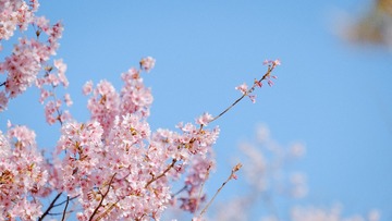 8683D921-84D7-4C3B-BE3F-5D9FA4E75E49/L0/001