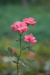 EF663568-392F-4FC5-84C0-C58E697CDE9B/L0/001