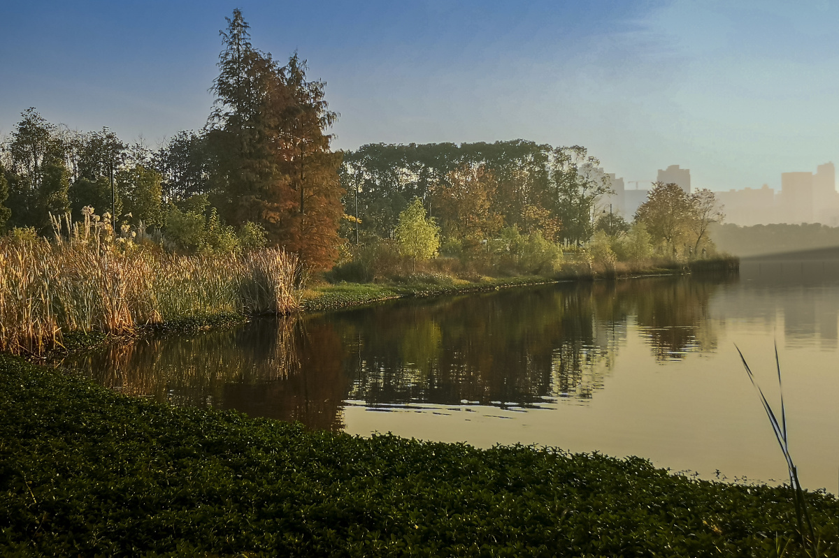 武汉东湖马鞍山湿地公园掠影曾院平摄影