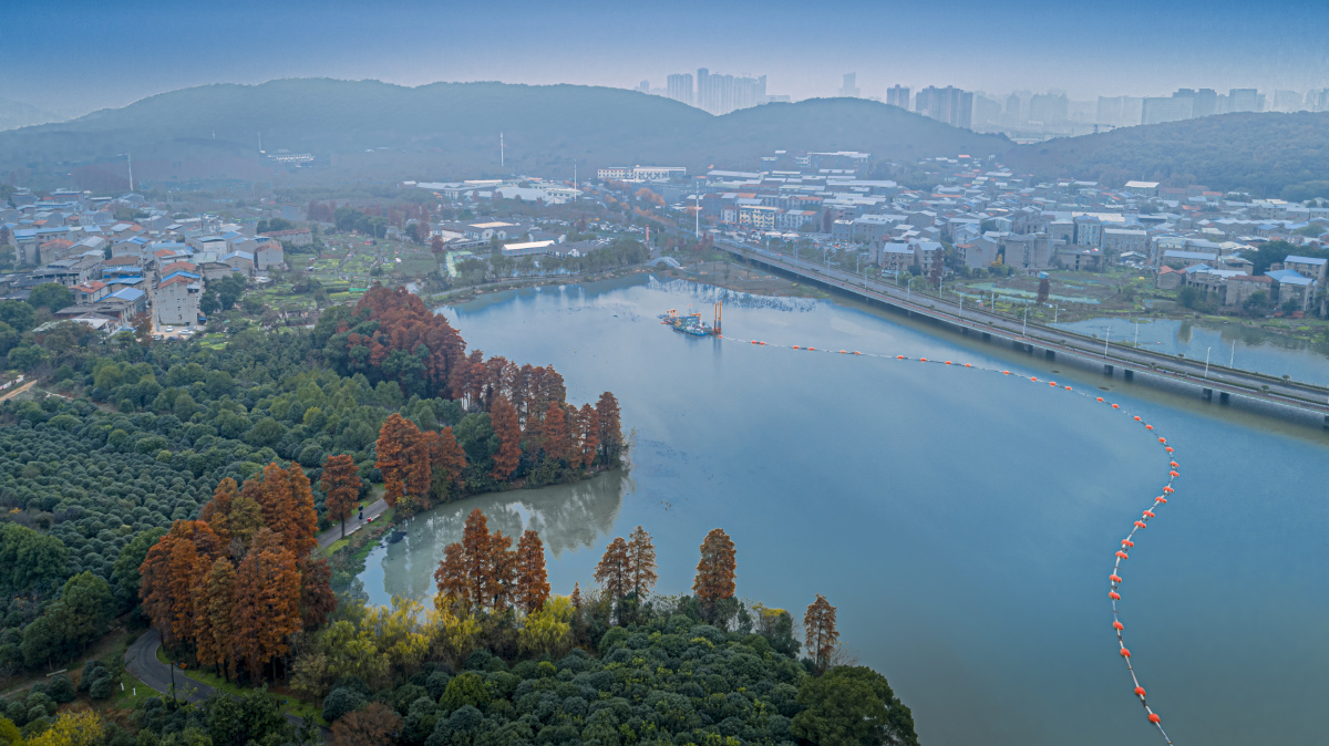 12月13日,拍摄于武汉东湖风景区. 点