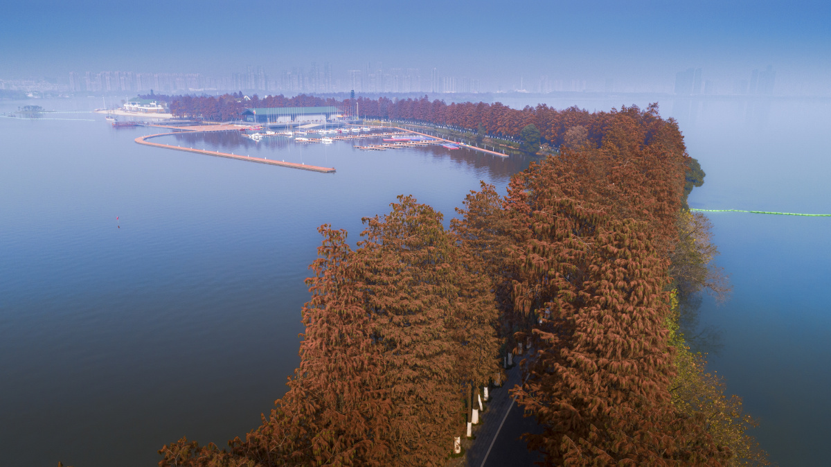 空中俯瞰武汉东湖黄金道曾院平摄影