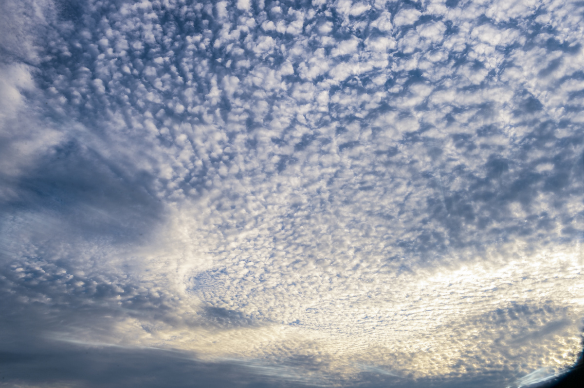 武汉东湖上空飘着鱼鳞云曾院平摄影