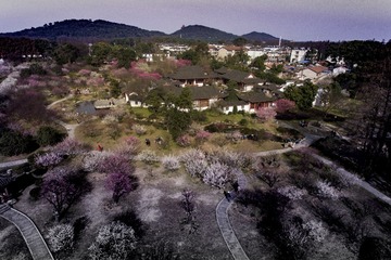 3东湖梅园内景梅园曾院平摄影