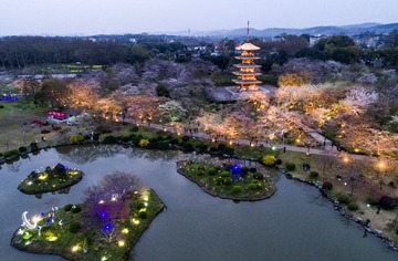 1.东湖樱花园标志建筑夜景曾院平摄影