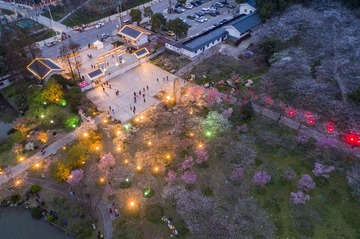 3.东湖樱花园入口夜景一瞥曾院平摄影