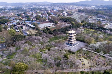 8..空中鸟瞰东湖樱花园曾院平摄影