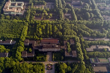 15. 建在“森林中的大学”曾院平摄影