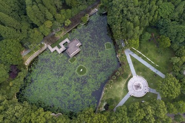 19.绿树成荫曾院平摄影