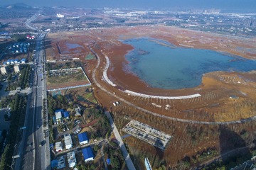 1.武汉江夏中央大公园雏形曾院平摄影
