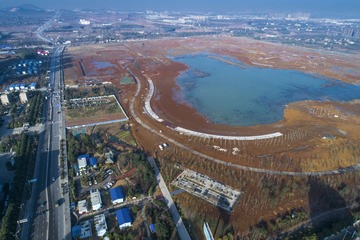 1.武汉江夏中央大公园雏形曾院平摄影