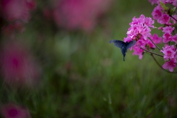 ZYP_1697_1