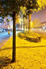1440156