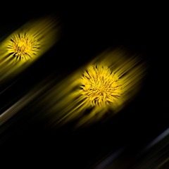 DSC08780_看图王