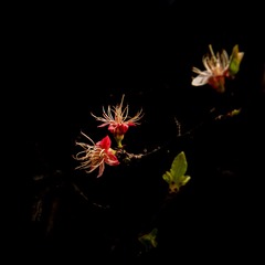 DSC08772_看图王