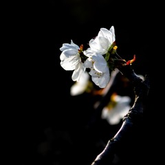 DSC08807_看图王