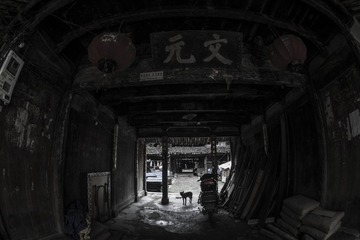 街头巷尾随拍15