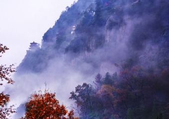 雾满大山