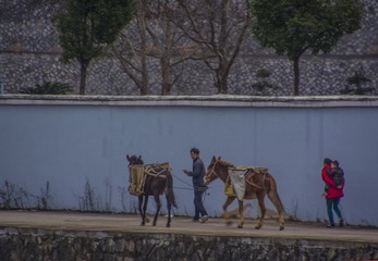 和谐一家