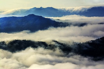 高山云雾