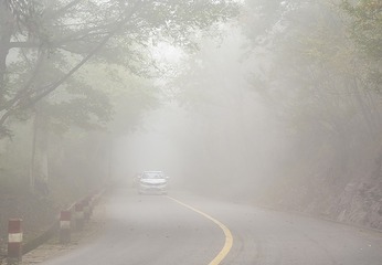 雾满公路