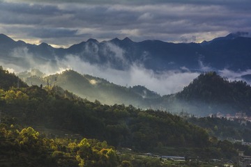 阳春三月