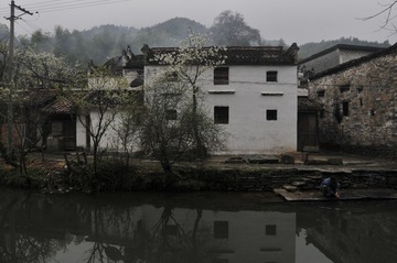 _DSC8742