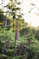 IMG_20151223_070633_