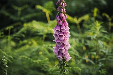 IMG_20151223_160206_