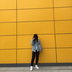 533027