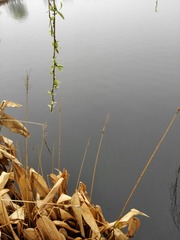 IMG_20150319_080531