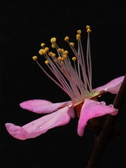CIMG6544-xiu