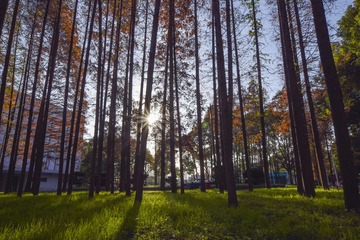 _DSC1474SMALL