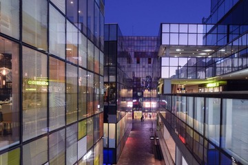 _DSC1856