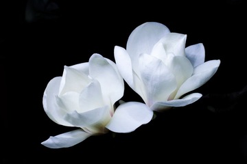相伴